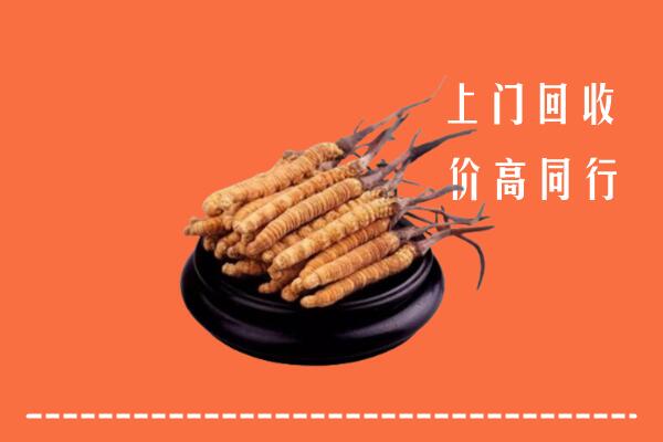 高价求购：襄州区回收散虫草